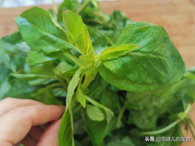 鸡冠子能不能吃，鸡冠子有毒吗能吃吗（网友：清肝明目好处多多）