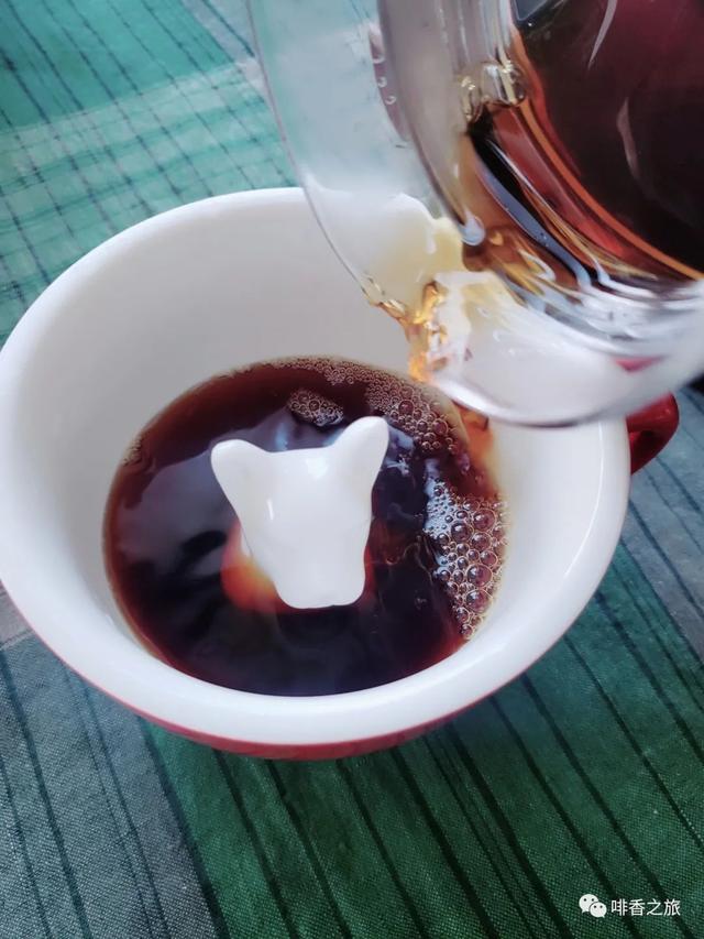 也门在哪里，也门在哪里地图（这简直就是世界咖啡文明的一颗“遗珠”）