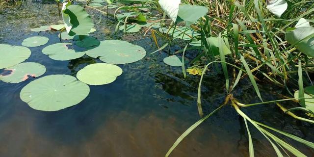 女人梦见下大雨财运如何，已婚女人梦见下雨预示着什么（10月8梦见小妹妹）