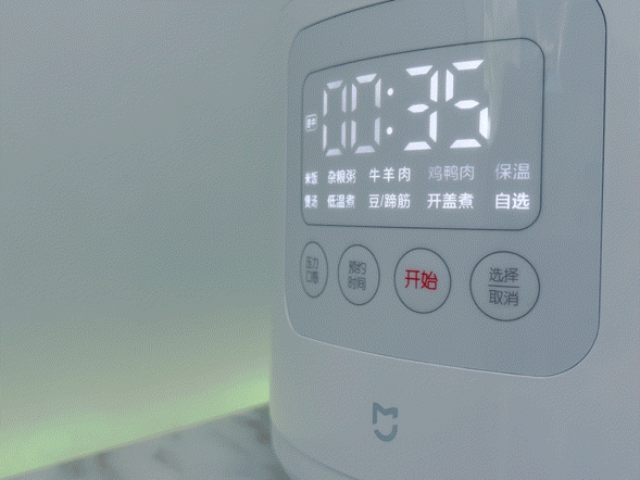 电压力锅炖排骨，电压力锅炖排骨做法（攻略+横评+实测）