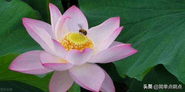 春夏秋冬分别是哪几个月，日本春夏秋冬分别是哪几个月（春、夏、秋、冬，对应什么）