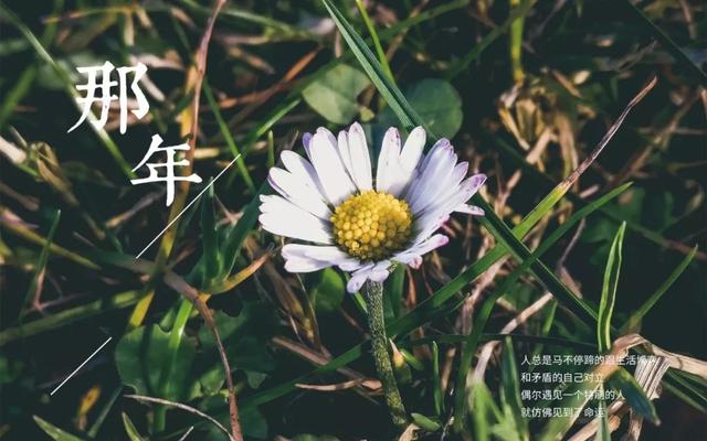 充满阳光正能量的文字图片，充满阳光正能量的说说配图（早安心语，正能量最美语录说说）