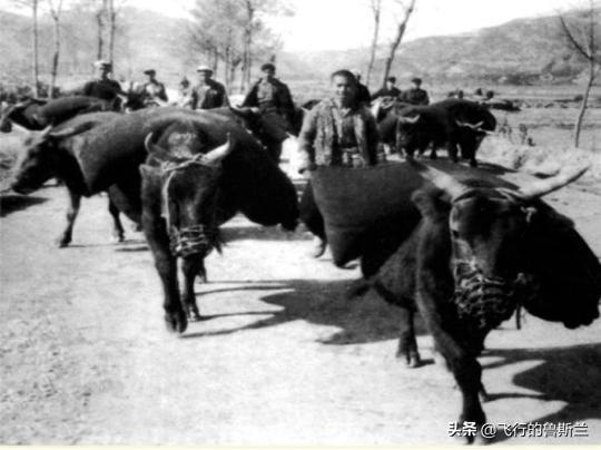工业盐的作用，工业用盐 用途（浅谈抗战时期我党边区政府的工业化发展）