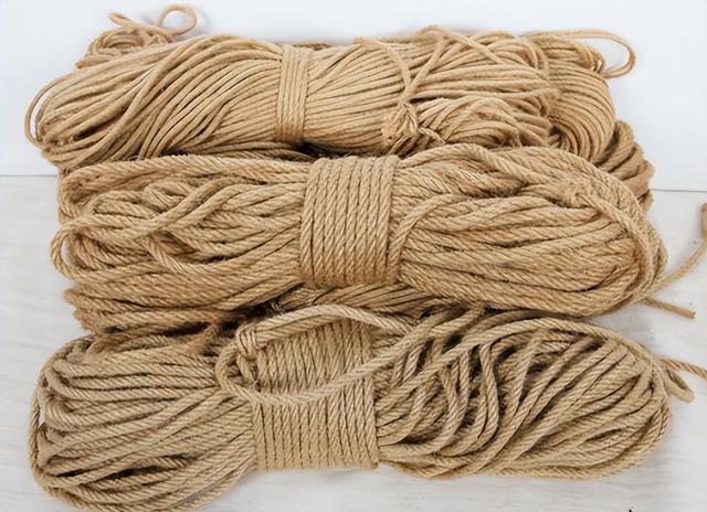 什么是黄麻,什么是黄麻棕床垫(黄麻曾是我国重要经济作物)