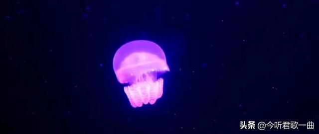 明灯象征什么，明灯的寓意是什么（如果每个人心中都有一盏灯）