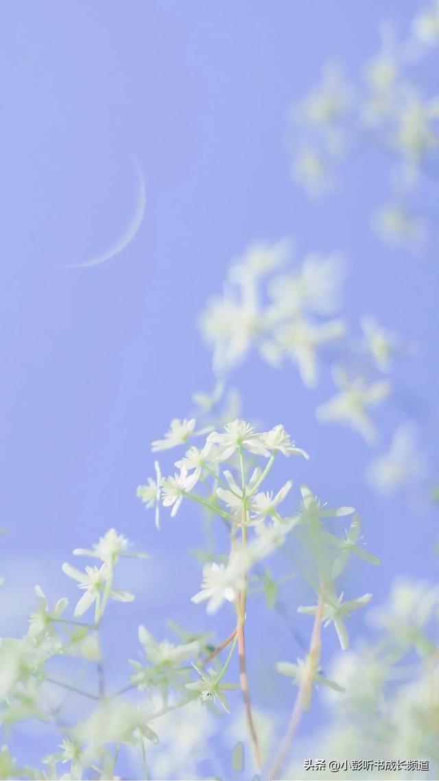 十二星座的真正性格，十二星座的性格脾气（十二星座各自的性格解析）