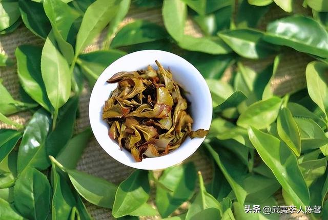 漳平水仙茶属于什么茶，漳平水仙茶叫什么（茶知识 ， 什么是漳平水仙）