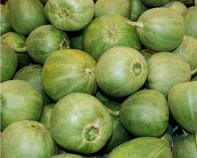 瓜车是什么意思，瓜子保卖车是什么意思（《卖瓜》谨以此献给我的父亲）