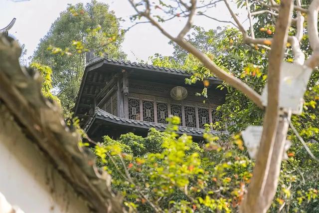 深圳有啥好玩的地方 排行榜，深圳有什么好玩的地方免费的（深圳必去的100个地方）