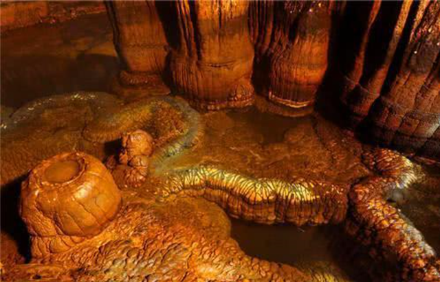 世界上真的有龙吗，世界上真的有龙吗真实视频（我国山洞发现一条“活龙”）