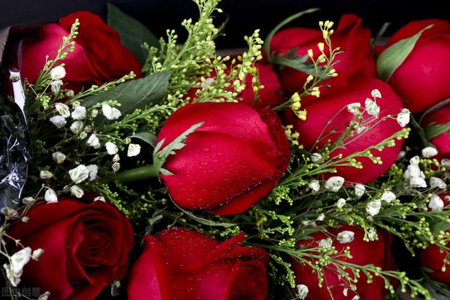 玫瑰花语有，玫瑰的花语（玫瑰花语大全）