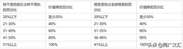 树冠是指什么年龄，如何评估名木古树的价值