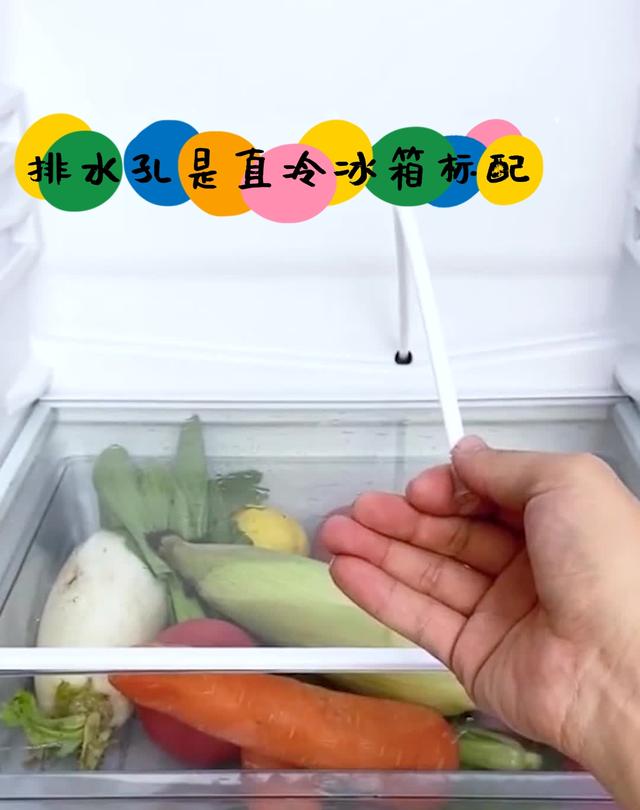 冰箱是风冷无霜的好还是直冷的好，冰箱买直冷的还是风冷无霜的好（才理解到“保鲜”的真谛）