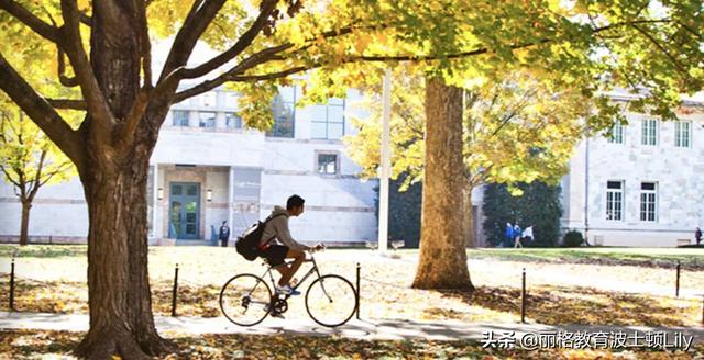 关于圣路易斯介绍，圣路易斯标志（录取率超过10%的前三十美本大学有哪些）