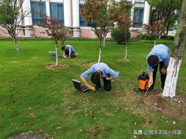 联苯的介绍，联苯-联苯醚（怎么防治家里和地里的白蚁）