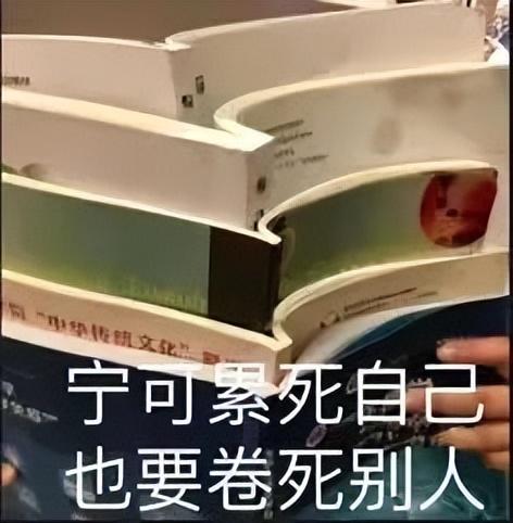 国产单反相机品牌，国产单反相机品牌排行榜（当年人人都嫌的中国键盘）