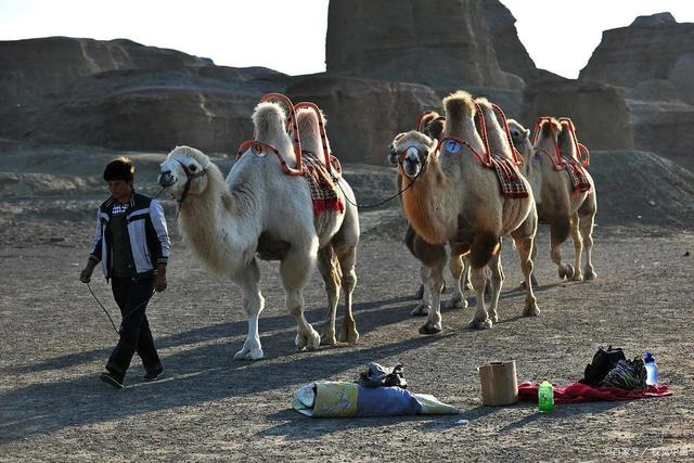 新疆旅游攻略自由行路线推荐，新疆自驾游路线推荐（说走就走的旅行）