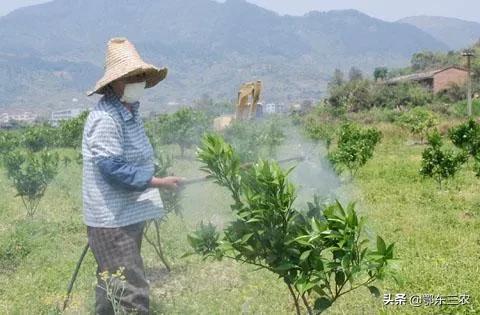 吡虫啉是酸性还是碱性，吡虫啉是碱性的吗（吡虫啉是常用的优质杀虫剂）