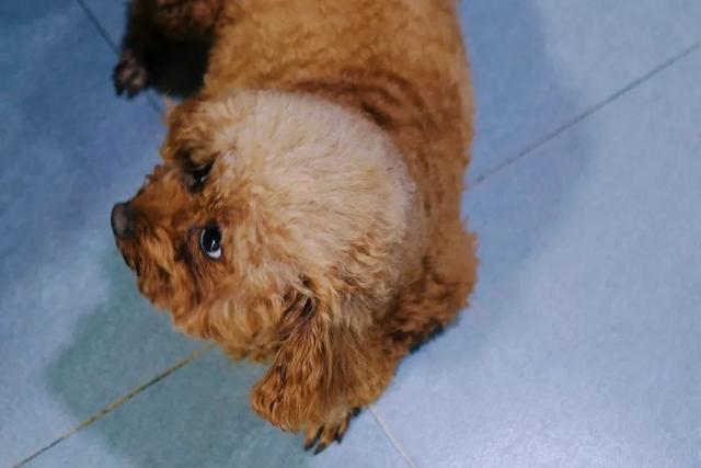 烟台自由行攻略，烟台旅游攻略自由行（这座低调的海滨城市）