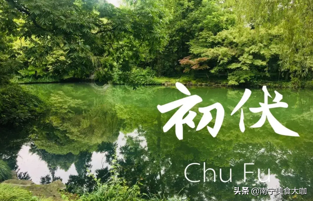 花茶搭配表，简要介绍花茶的各种搭配常见的有哪一些（菊花茶的4样“神仙搭配”）