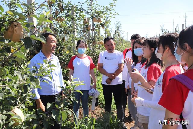 西北大学现代学院，西北大学现代学院是985大学还是211大学（用青春力量助力乡村振兴）