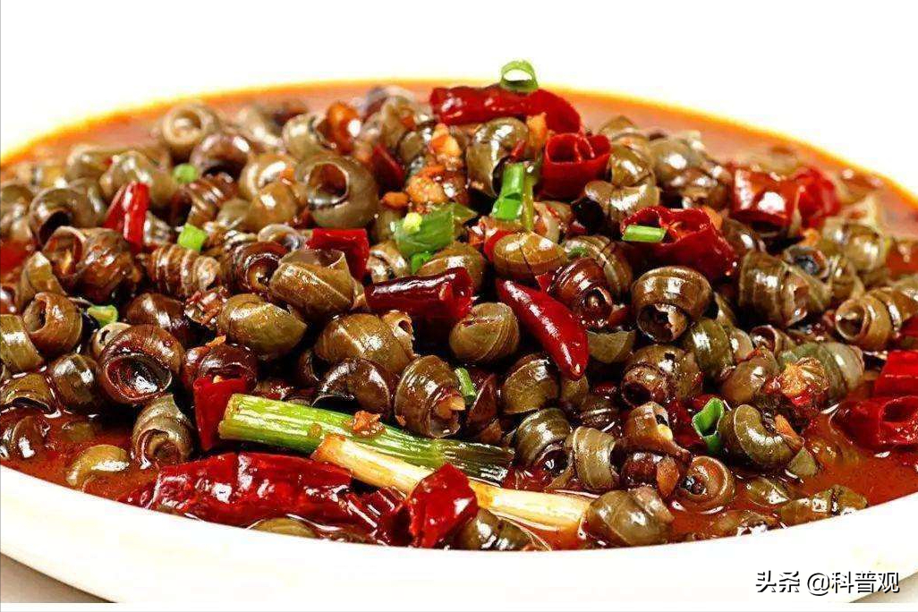 警惕！印度街头“美食”福寿螺暗藏危险，十种禁食螺类图鉴曝光，切勿尝试！