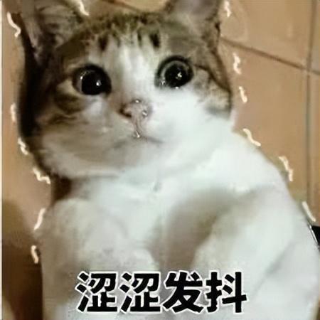 ios是什么意思，ios是什么意思 有什么用（各种隐藏功能大盘点）