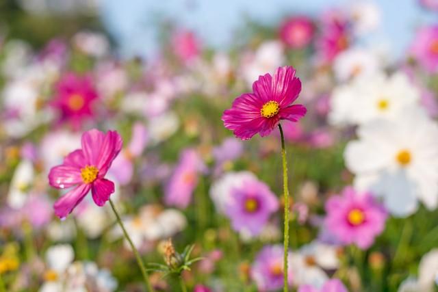 真正的爱情都在细节上，爱与不爱都在细节里