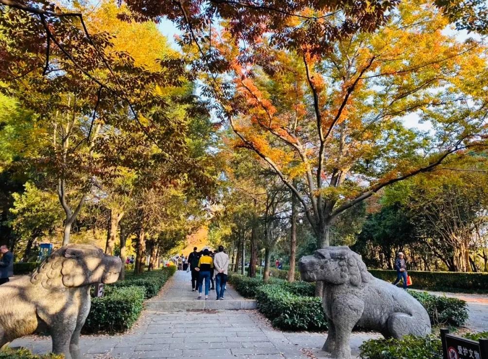 南京旅游景点有哪些好玩的地方？南京十大网红景点推荐