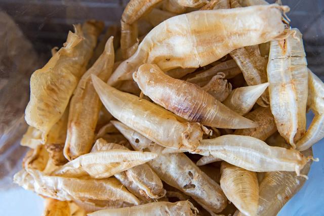 胶东海参，最便宜的也要好几百（胶东海参和辽参哪个好）