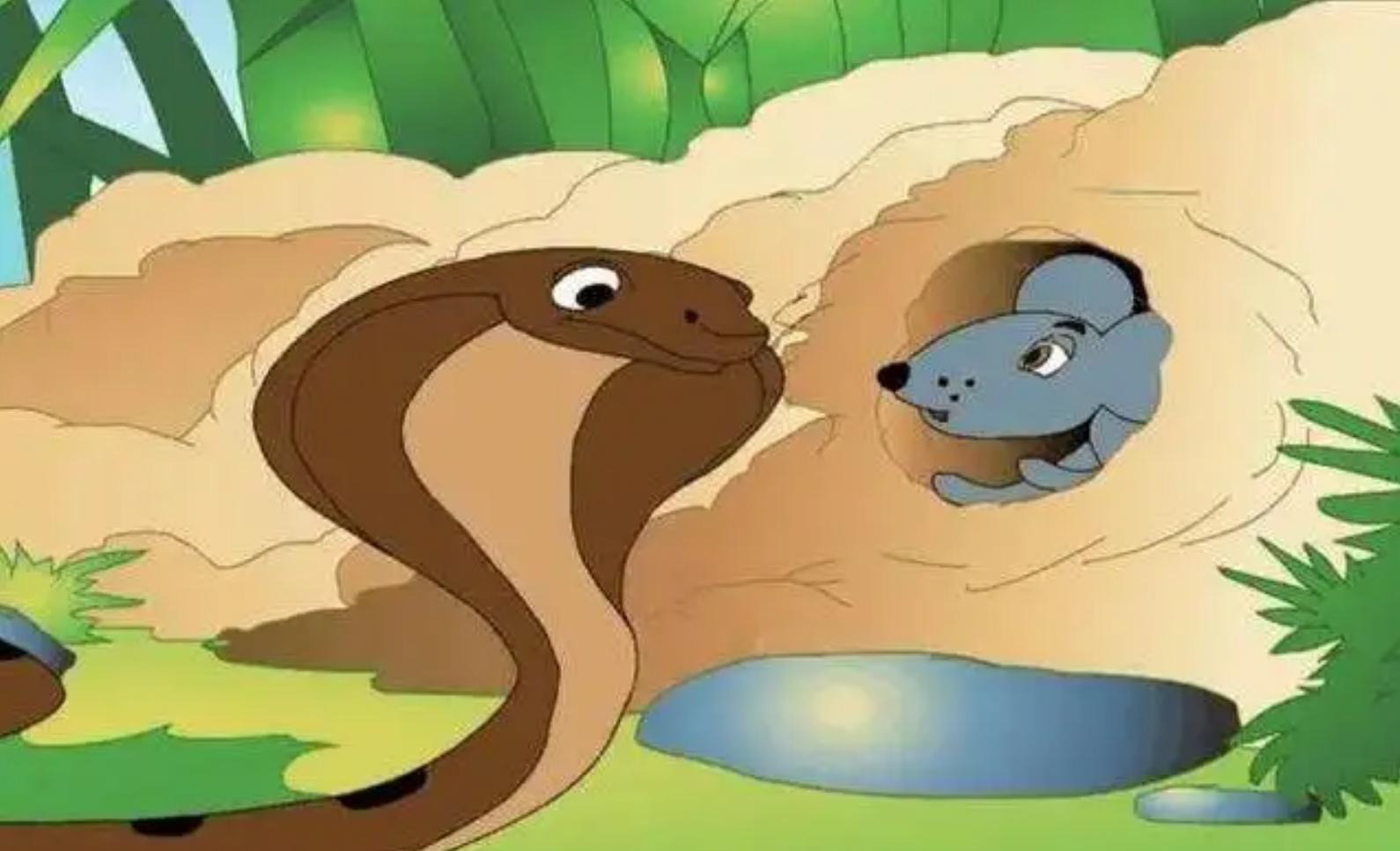 属鼠属蛇 属鼠属蛇合不合 - 珍缘易学