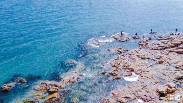 深圳好玩的免费景点，深圳哪里好玩的景点（来深圳这10个地方免费玩）