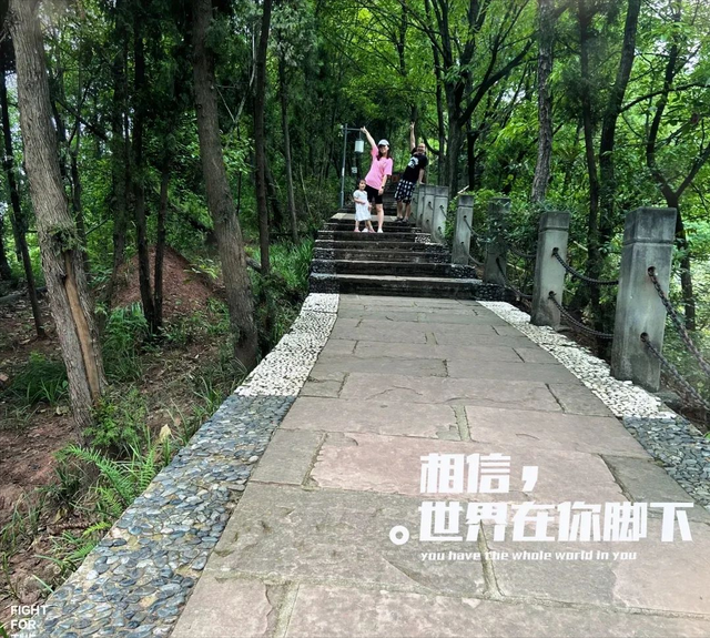 千佛山森林公园，千佛山在哪（不收门票的5个成都周边“小森林”）