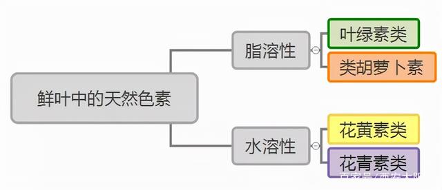 茶道茶艺知识学习：茶汤都有哪些颜色，茶道茶艺知识学习（6大茶类的茶汤颜色）