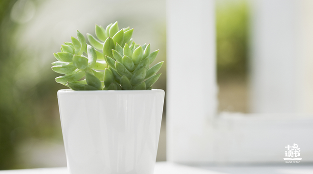 孕14周怎么知道胎儿还活着，怀孕四个月怎么自测孩子活着（身体垮掉前会出现的几个信号）