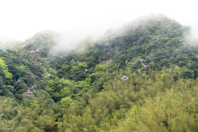 江西武功山几月份去最好，武功山适合几月份去（武功山又到了一年一度最美的季节）