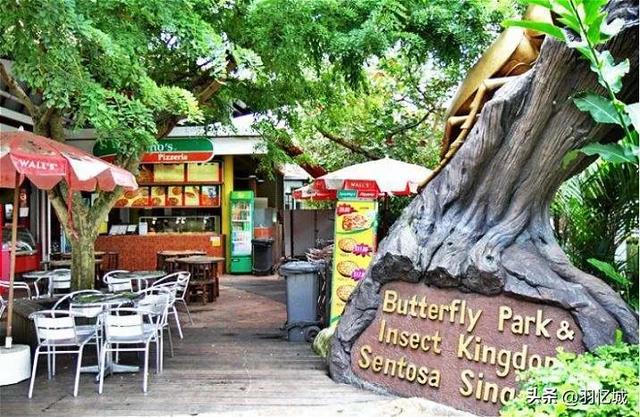 新加坡有什么特产，新加坡有什么美食特产除了肉干（宝藏级的新加坡旅游攻略）