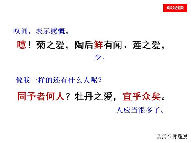 爱莲说原文朗读，爱莲说拼音版原文（部编人教版七年级语文下第17课《爱莲说》周敦颐-诵读+课件）