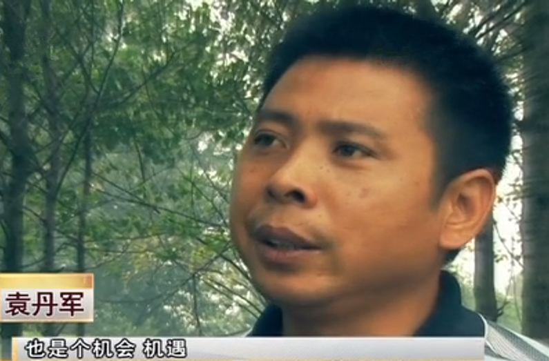 2008年鲶鱼市场价每斤多少钱？当年水产行情与价格波动解析