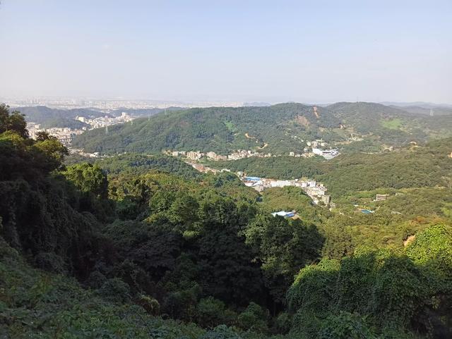 龙眼洞森林公园，广州龙洞森林公园介绍（广州徒步之渔龙线……）