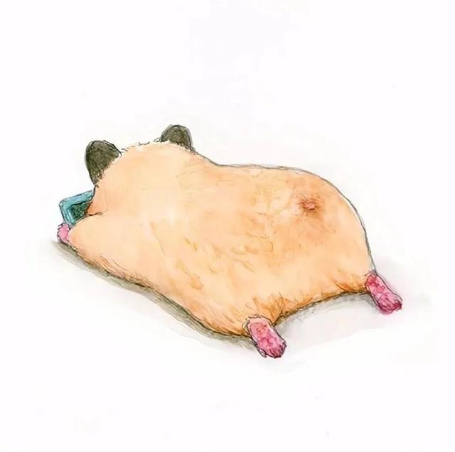 林弦：卡哇伊可爱仓鼠头像微信，林弦：卡哇伊可爱仓鼠头像（可爱的小仓鼠头像 ​​​）