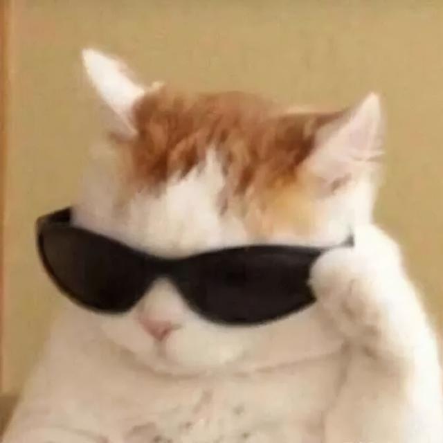 逗人开心的图片，高级文案幽默笑死人（一期看完就会开心的图片）