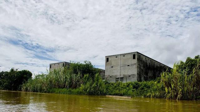 燕窝多少钱一斤，燕窝价格多少一斤（小哥筑屋引燕一个月产5斤燕窝）
