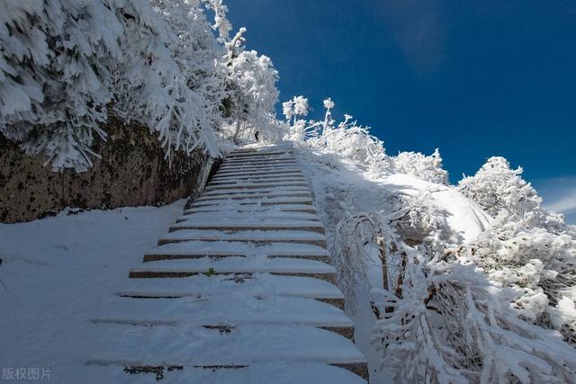 九华山月身宝殿，九华山万佛塔游玩攻略（安徽祈福旅行最美的地方竟是这）