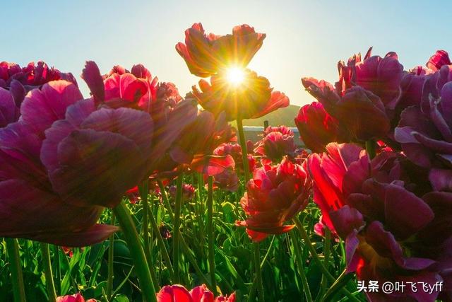 电视剧女人心事，电视剧女人心事演员表（女人有意向你透露2个“隐私”）