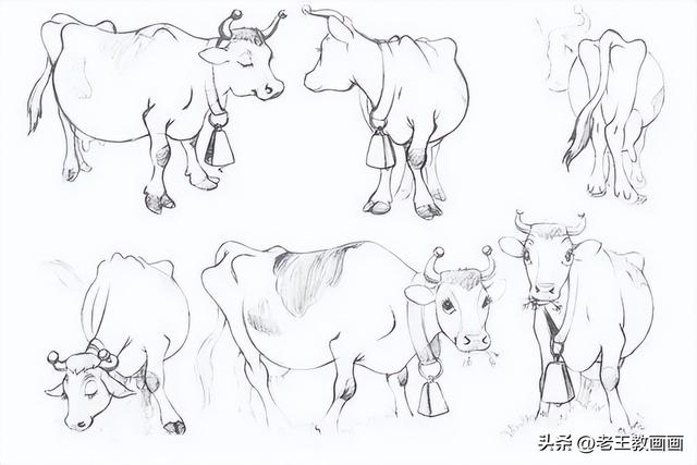 怎么画鱼最简单又好看，鱼简笔画彩色（25个动物简笔画教程分享给你）