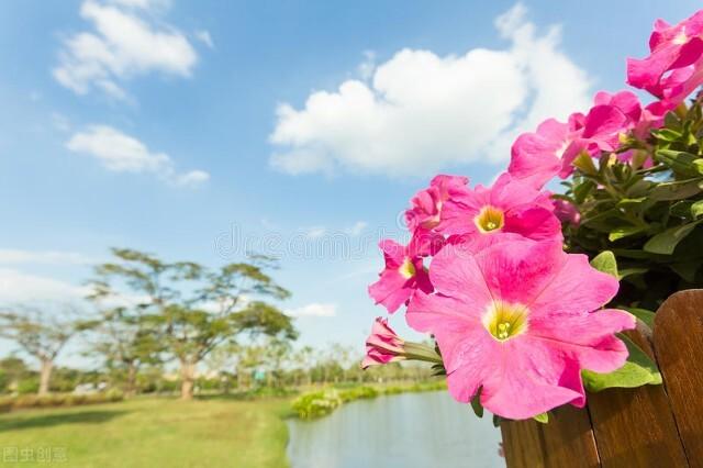 生活中有规律的现象和事物是什么，生活中哪些事物是有规律的（一个人开始走上坡路的12种现象）