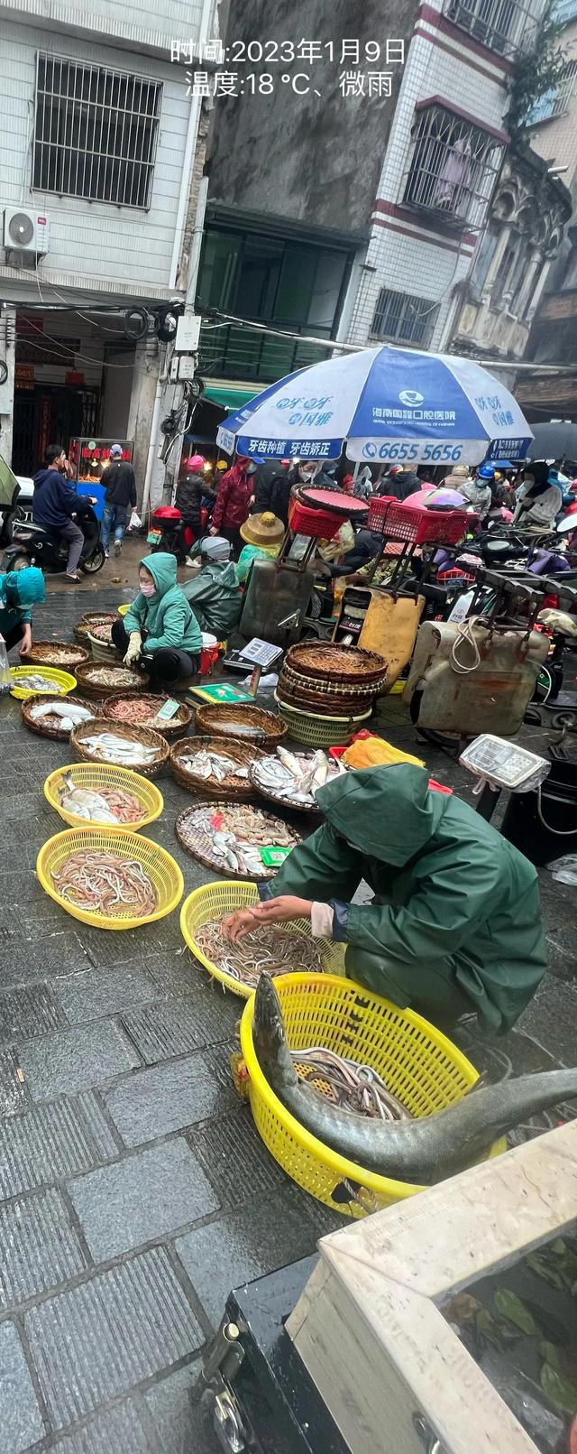 十多度的天气适合穿什么衣服，10度穿什么衣服（1月的海口温度湿度如何）