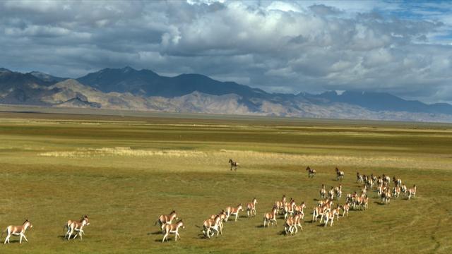 新疆面积和人口，新疆面积和人口数量（时政微视频丨瞰新疆）