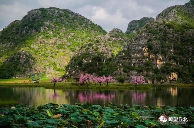 云南花海旅行记，春天，来云南与七彩花海相遇